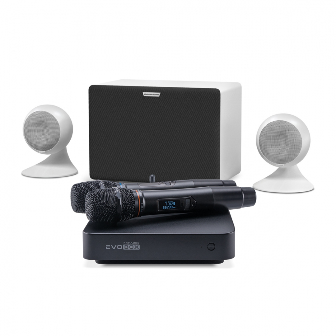 караоке-комплект EVOBOX Classic + EvoSound Sphere 2.1 в Туле