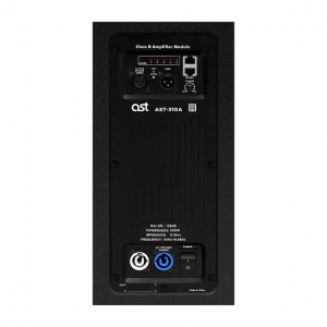 Активная акустическая система AST-310A в Туле