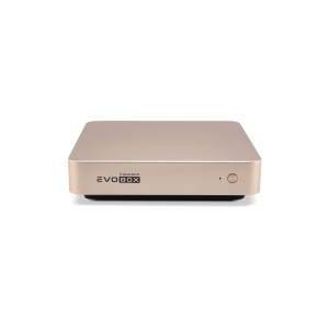 EVOBOX с микрофонами в Туле